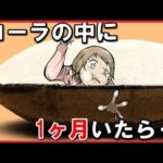 【1ヵ月間】コーラに、浸かっていたらどうなるのか?をアニメ風にしてみた!