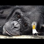 10万年前の地球には巨人が住んでいた？！その真相まとめ！