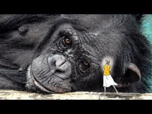 10万年前の地球には巨人が住んでいた？！その真相まとめ！