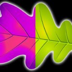 かつて地球上の生物は紫色だった(10の信じがたい科学的事実)
