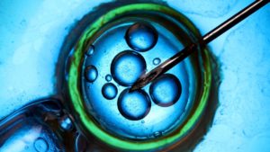 すごすぎる科学の躍進10選