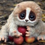 可愛いのに超凶暴な動物10選