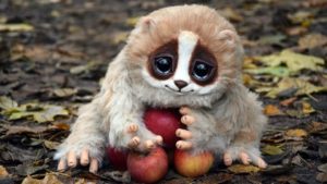 可愛いのに超凶暴な動物10選