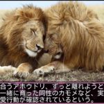 11種の動物の同性愛