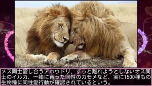 11種の動物の同性愛