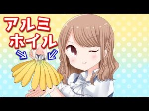 これだけ？！野菜や果物の鮮度を保つ秘訣。