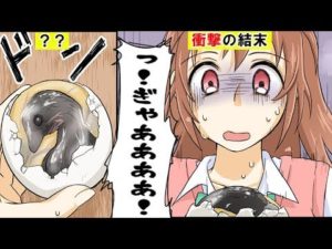 女子高生が世界の変わった料理を食レポしてみた。（マンガ動画)