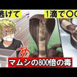 「このヘビ見たら逃げて！」噛まれたらヤバイ毒ヘビをマンガにしてみた。