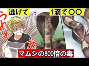 「このヘビ見たら逃げて！」噛まれたらヤバイ毒ヘビをマンガにしてみた。
