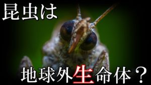 正体はエイリアン？昆虫宇宙起源説がとんでもない！
