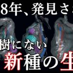 近年発見された、系統樹にない新種の生命について