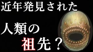 これが人類最古の祖先？近年発見された５億４千年前の生物がとんでもない！