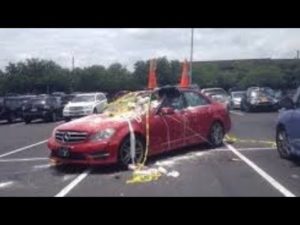 これはありえない…悪質な駐車違反への仕返し14選