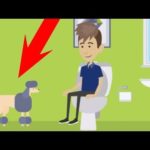 なぜ犬はトイレやお風呂に付いて来るのか?