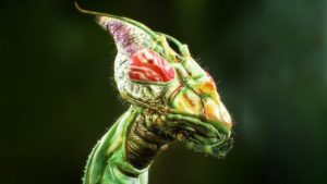 世界でもっとも恐ろしげなムシたち