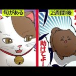 ペットショップで売れ残ったらどうなるのか。その実態をマンガにしてみた。