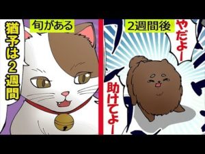 ペットショップで売れ残ったらどうなるのか。その実態をマンガにしてみた。