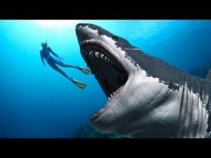 マリアナ海溝にメガロドンは生息しているのか？