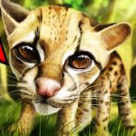 世界で最も高価な猫15選