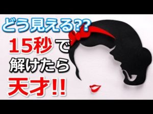 15秒で解けたら天才！2通りの見方のできるトリックアート12枚