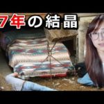 17年かけてランボルギーニを0から作ったら衝撃の結果が…