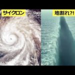 2018年4月にあった衝撃的な出来事5選