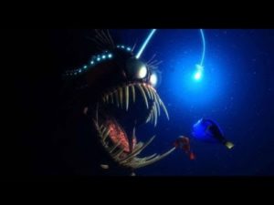 不気味で凶暴な海の怪物たち