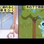 意外と知らない?!根拠の無い話