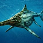 氷の中から発見された謎の物体