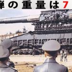 失敗に終わった驚きの武器計画