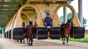 シビれるほどすごいマシーンたち