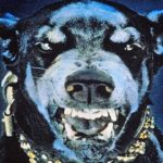 危険な犬種25種類