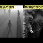 未だ解明されない、科学でも説明できな謎６選 宇宙はどうなっているのか