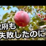 『嘘だろ…』ムスダンを救った日本人の行動力に涙 世界一の難問をやってのけた!?