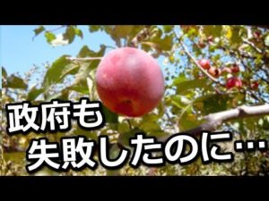 『嘘だろ…』ムスダンを救った日本人の行動力に涙 世界一の難問をやってのけた!?