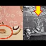 江戸時代の絵画に謎の物体が…その真相とは?!