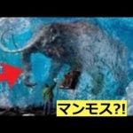怖い…氷漬けで発見された動物たち7選