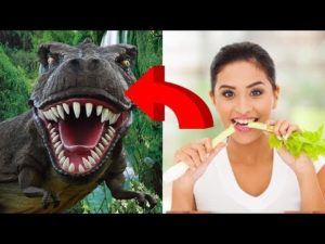 映画の効果音の作り方・裏側