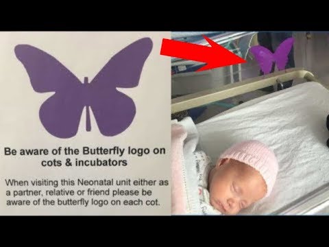 涙…新生児のベッドで紫の蝶々の意味するものとは…