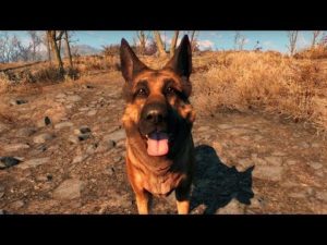 ゲームの名相棒・ベスト6