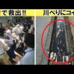 「日本は違うなぁ」…海外で驚ろかれた写真