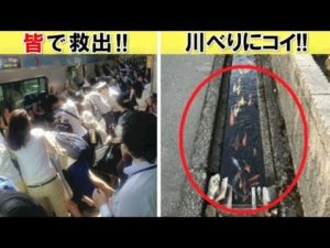 「日本は違うなぁ」…海外で驚ろかれた写真