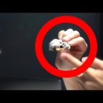 これを食べます・・・