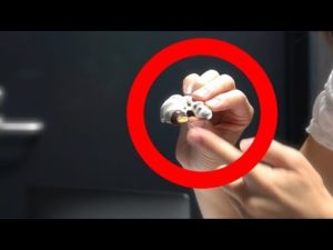 これを食べます・・・