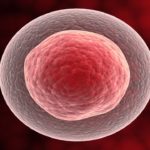 目を見張るような科学的7の発見