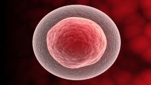 目を見張るような科学的7の発見