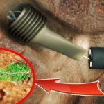 人間の体内から発見された7つの生物や物体