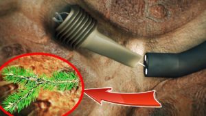 人間の体内から発見された7つの生物や物体