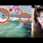 氷山にアザラシか！？と思い近づいてみたら‥その正体とは･･！