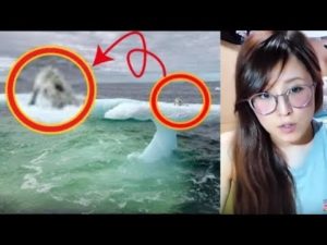 氷山にアザラシか！？と思い近づいてみたら‥その正体とは･･！